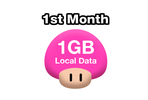 1st month 1GB local data